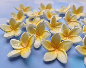 食べられるプルメリアの花24個：トロピカルなケーキトッパー
