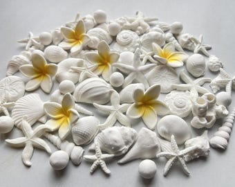 50 essbare Strand Kuchen Dekorationen | Muscheln, Seesterne & Tropische Blumen