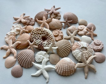 Neutral Seashell Cake Toppers - 30 Stück essbare Küsten Fondant Dekoration in Creme & Latte