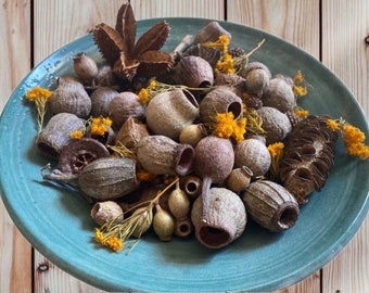 Australian Native Potpourri|bush scent|unique pods and flora|bonus refresher oil included