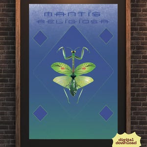 Praying Mantis Print: Colorful Minimalist Insect Illustration (Digital Download