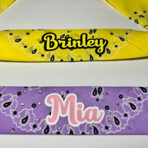 Backpack Bandana- Cheer Bandana- Cheer Backpack Bandana- Custom Cheer Backpack- Cheerleading Gift- Cheer Team Gift - Personalized Bandana