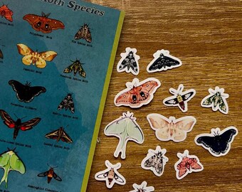 Tiny Georgia Moth Species Pack