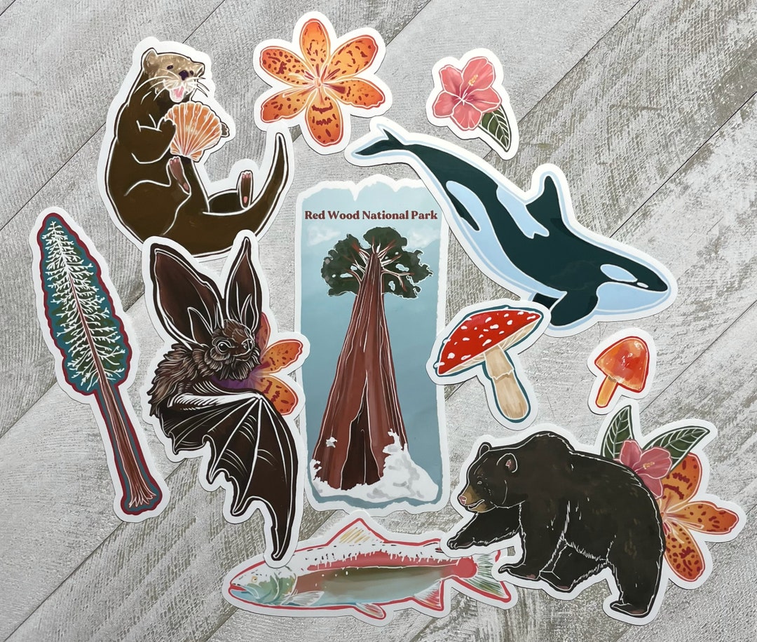 Waterproof Redwood National Park Sticker Pack: Outdoor Adventure - Etsy