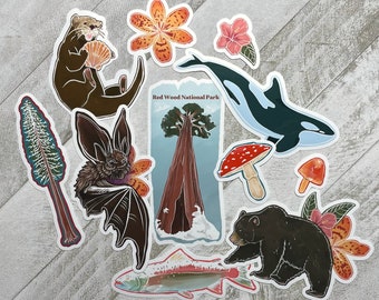 Waterproof Redwood National Park Sticker Pack | Granola Girl Stickers | Outdoor Sticker Pack |