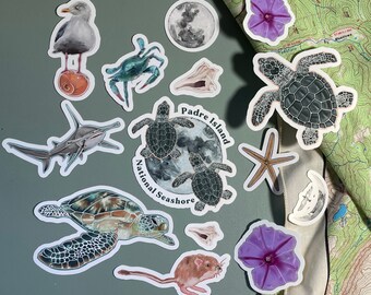 Waterproof Padre Island National Seashore Sticker Pack: Sea Turtle Decals