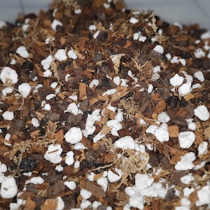 Orchid Mix Medium - All the goodness in your pot of gold with quality medium. NZ Bark, Sphagnum, Coco Husk, Perlite, and Hori Charcoal