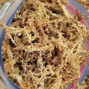 May include: A close-up of a bag of dried moss, a popular material for terrariums and other decorative projects. The moss is a light brown color and has a slightly textured appearance.