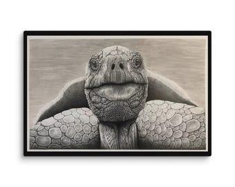 Tortuous Pen & Ink Drawing printed on stretched Canvas 12" x 8"
