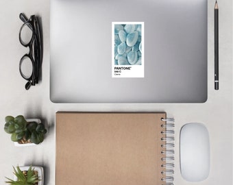 PMS Sticker - Clams 2.128"w x 3.677"h