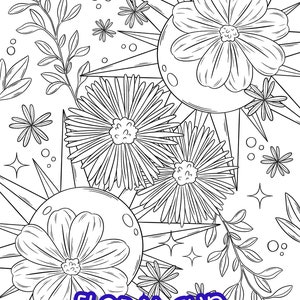 May include: A black and white line drawing of a sun with flowers around it. The sun has a circle in the middle and rays coming out. The flowers are different shapes and sizes. The text "FLORAL SUN" is at the bottom of the image.