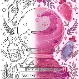 May include: A pink and white illustration of a crystal ball with a crescent moon inside. The crystal ball is surrounded by bottles, stars, and leaves. The text "Oddities of Horticulture", "Ancient Potion Making", and "Book of Jinxes & Hexes" is written on three books stacked on top of each other.