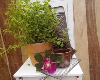 Hängeregal Wandregal Holzregal Regal Weiß Shabby Holz Blumenständer Brocante Landhaus Cottage