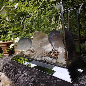 Antik Art Deco Vitrine Spiegelvitrine Unikat Glaskasten Schaukasten Glas Brocante Landhaus Cottage