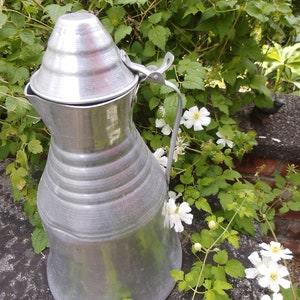 Blechkanne Kanne Krug Wasserkanne Wasserkrug Gartendeko Brocante Garten Landhaus Cottage Bauernhaus