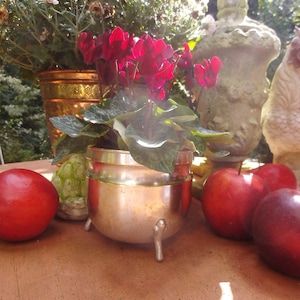 Übertopf Blumentopf Topf Versilbert Blumen Tischdeko Geschenk Valentinstag Ostern Frühling Brocante Landhaus Cottage