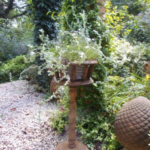 Eiche Pflanzenständer Blumenständer Pflanzensäule Holzsäule Landhaus Cottage