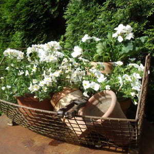 Drahtkorb Warenkorb Gitterkorb Gartenkorb Drahtgeflecht Gartendeko Draht Brocante Rost Shabby Landhaus  Bauernhaus Blumenkorb Korb Eisen