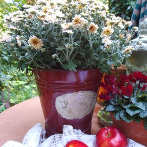 Eimer Emailleeimer Metalleimer Garteneimer Laubeimer Übertopf Pflanzentopf Blumentopf Landhaus Cottage