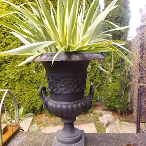 Gusseisen Amphore Eisen Louvre Pflanztopf Vase Löwenkopf Cottage  Garten Gartendeko