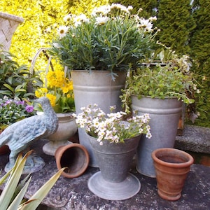 Op de afbeelding: Een verzameling gegalvaniseerde metalen potten met verschillende bloemen en planten. Op de voorgrond staat een klein, decoratief vogelsbeeldje.