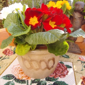 Steingut Topf Übertopf Behälter Bauernhaus Brocante Vintage Landhaus Cottage Blumentopf