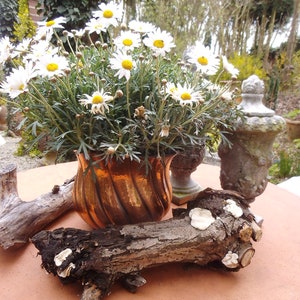 Mid Century Vintage Kupfertopf Blumentopf Übertopf Kupfer Brocante Landhaus Cottage