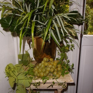 Sektkübel Champagnerkübel Eiskübel Flaschenkühler Weinkühler Messing Ente Entengriff Blumenvase