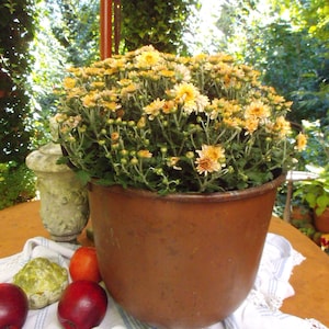 Antik Kupferkessel Kessel Brocante Bauernhaus Shabby Übertopf Gartendeko Küchendeko Landhaus Cottage