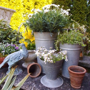 1 Zinkvase Gärtnerei Vase Blumenladen Brocante Zink Gartendeko Gärtnerei Shabby Cottage Landhaus