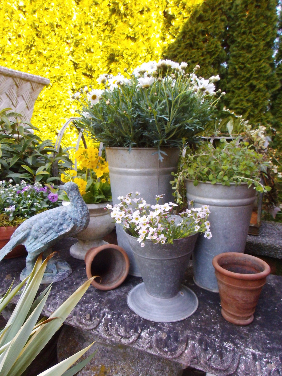 broc en zinc jardin décoration brocante fleurs séchée bohème