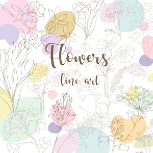 arte de linha de flores, arte de linha clipart de flores silvestres, svg, png, convite de casamento, clipart de flores, flores desenhadas à mão, mão botânica desenhada