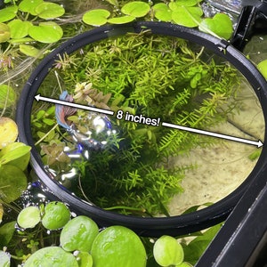 XL Aquarium Feeding Portal