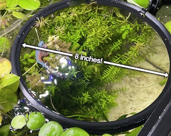 XL Aquarium Feeding Portal