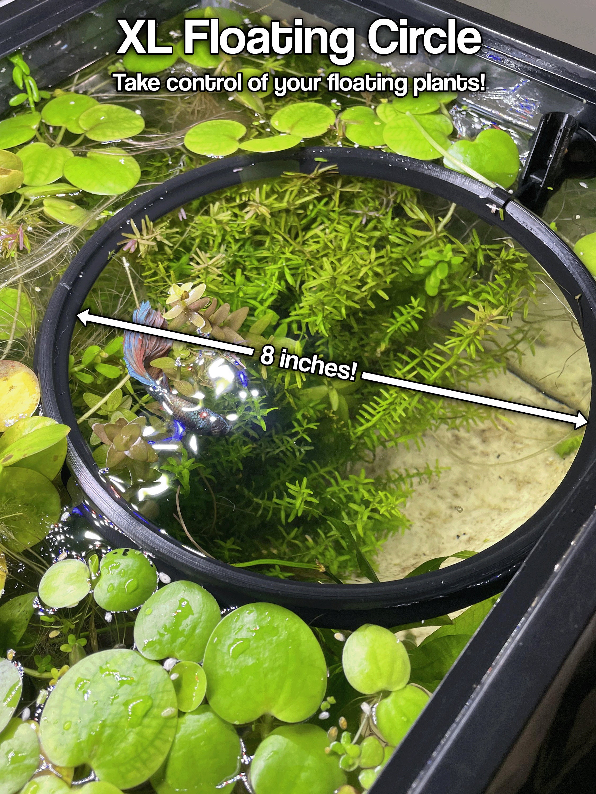 24+ Aquarium Floating Plant Ring