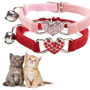 Pet Goods Manufacturing NCAA Washington Huskies Cat Collar 3/8 x 8-12 