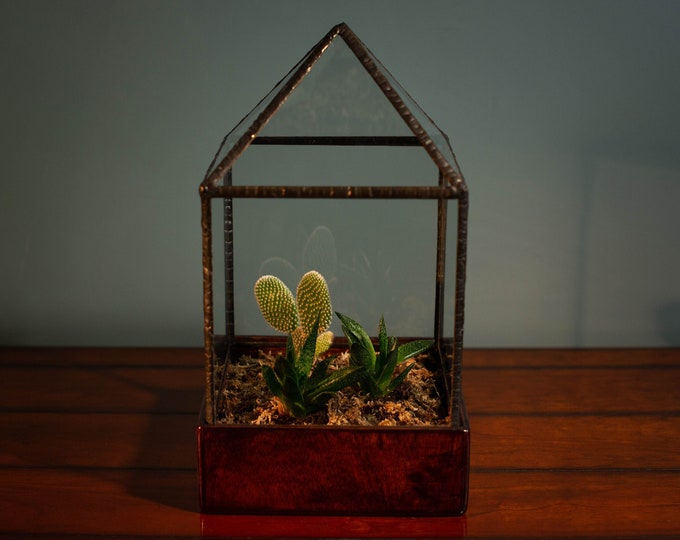 Wee Hoose Wardian Case Terrarium, Made To Order Terrarium, Wardian Case Terrarium.