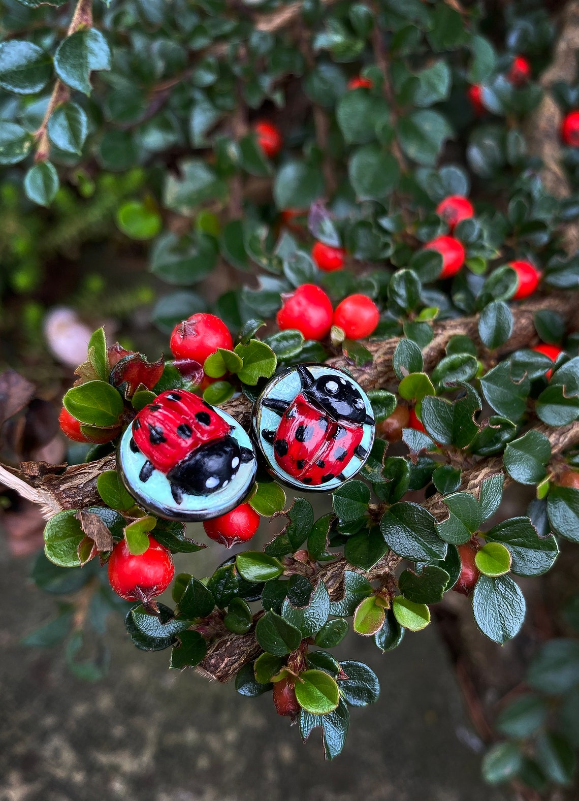 Ladybug Pin Ladybug Miniature Brooch Realistic Ladybird Etsy
