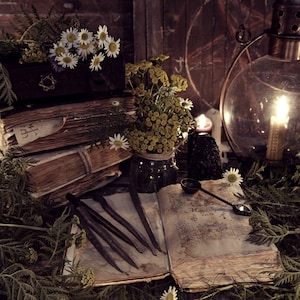 Witch of the Woods Perfume Oil 8.5 mL Gothic Witch Apothecary Blend