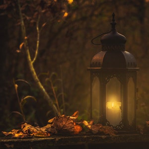 Titania Perfume Oil 8.5 mL Fairy Queen Gothic Apothecary Blend