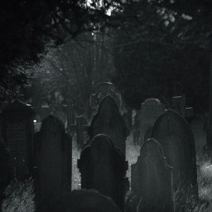 Lenore Perfume Oil 8.5 mL Gothic Apothecary Blend