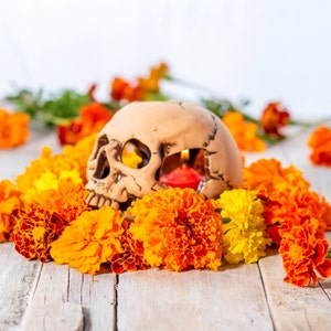 Aceite de Perfume Día de los Muertos 8.5 mL Mezcla de Boticario Gótico