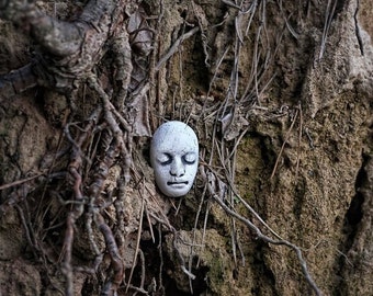 May include: A white plaster face sculpture with closed eyes is nestled among the roots and branches of a tree. The sculpture is partially obscured by the tree's growth.