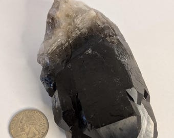 May include: A large, black, smoky quartz crystal cluster with a clear, smoky quartz point at the top. The crystal is about the size of a US quarter.