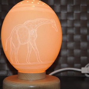 Könnte beinhalten: Eine eiförmige Lampe in Pfirsichfarbe mit einem eingravierten Giraffenmuster. Die Lampe steht auf einem Holzsockel. Die Giraffe ist in die Oberfläche geätzt, und die Lampe strahlt ein warmes Licht aus. Ein Kabel mit Ein-/Ausschalter ist angebracht.