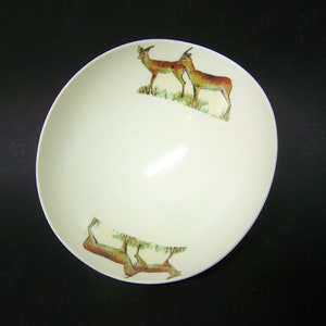 Original African ostrich egg shell suitable as a side dish with springbok motif inside