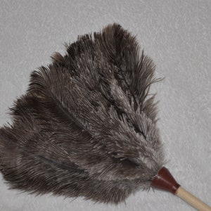 Peut inclure: Un plumeau marron avec un manche en bois et une poignée en cuir. Le plumeau est fait de plumes douces et duveteuses et est conçu pour le nettoyage. Le manche est de couleur claire et la poignée est marron foncé.