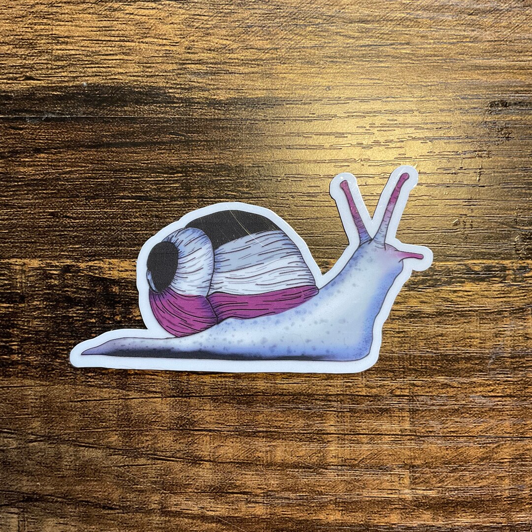 Asexual Snail Sticker Etsy