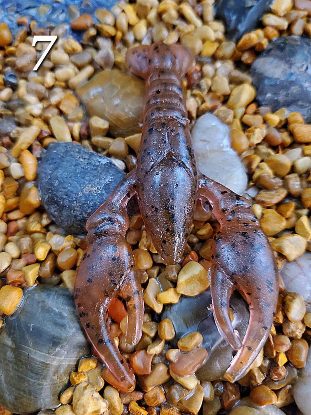 3.5" Yabbie (one Off's) - Etsy