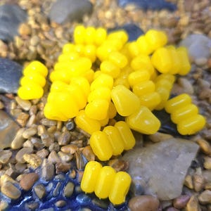 May include: Bright yellow, corn-shaped fishing bait, arranged on a bed of small, multicolored pebbles and stones. The bait is clustered together, with some pieces scattered around the edges. The background includes various sizes and colors of rocks.